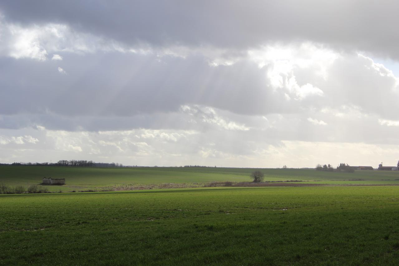 Paysage au gré d'une balade