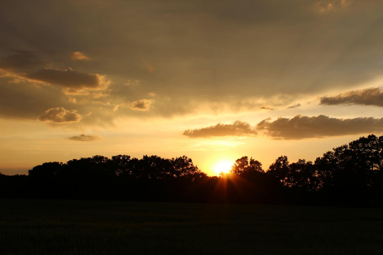 Coucher de soleil 