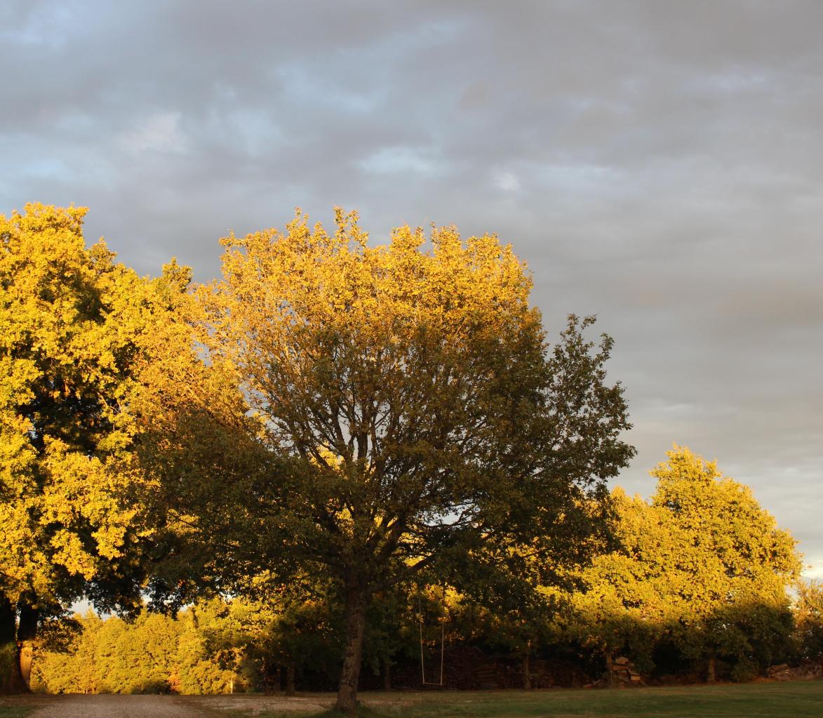 L'automne