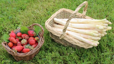 Fraises et asperges de Sologne