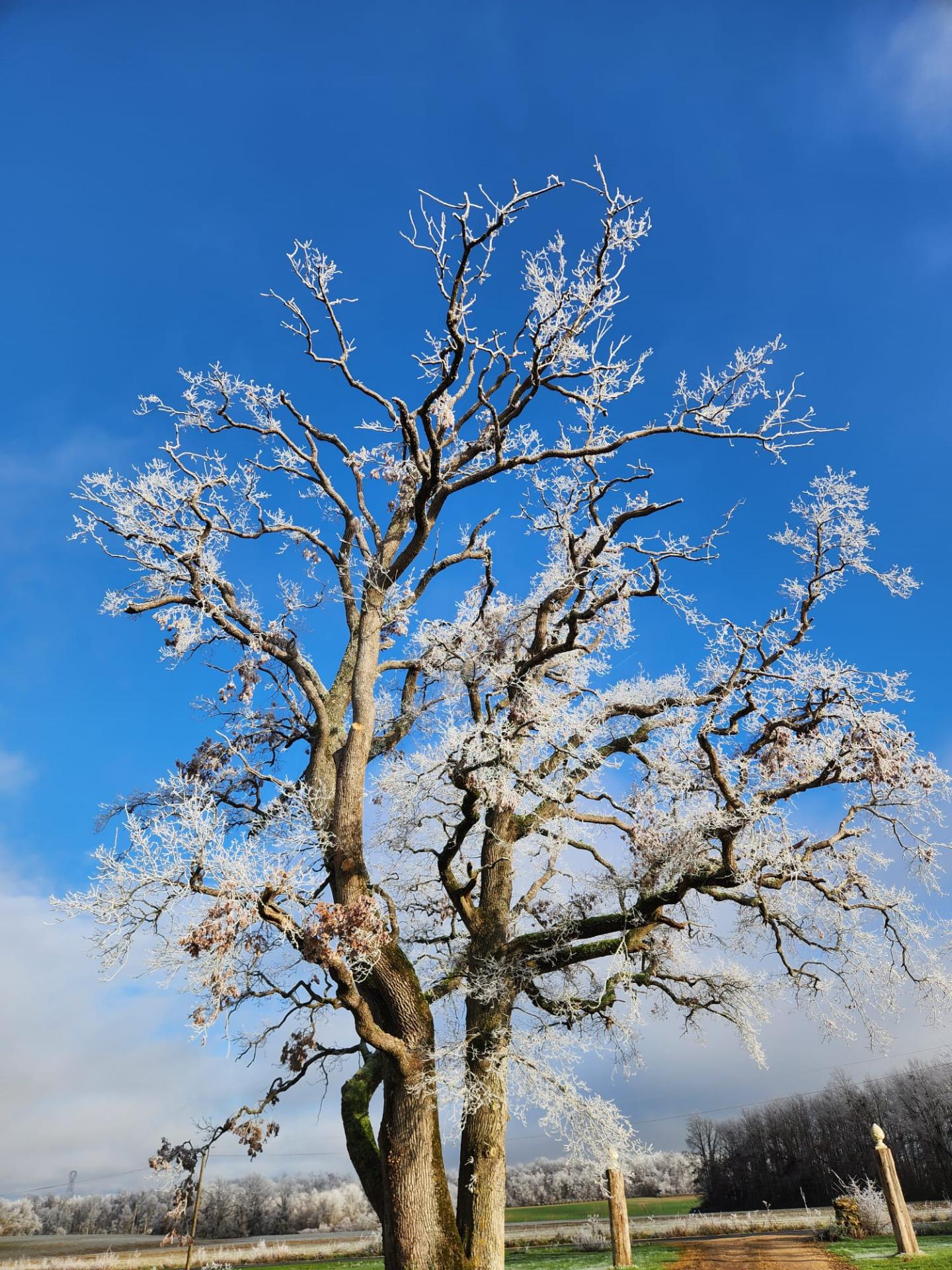 Whatsapp image 2026 01 04 at 13 30 42