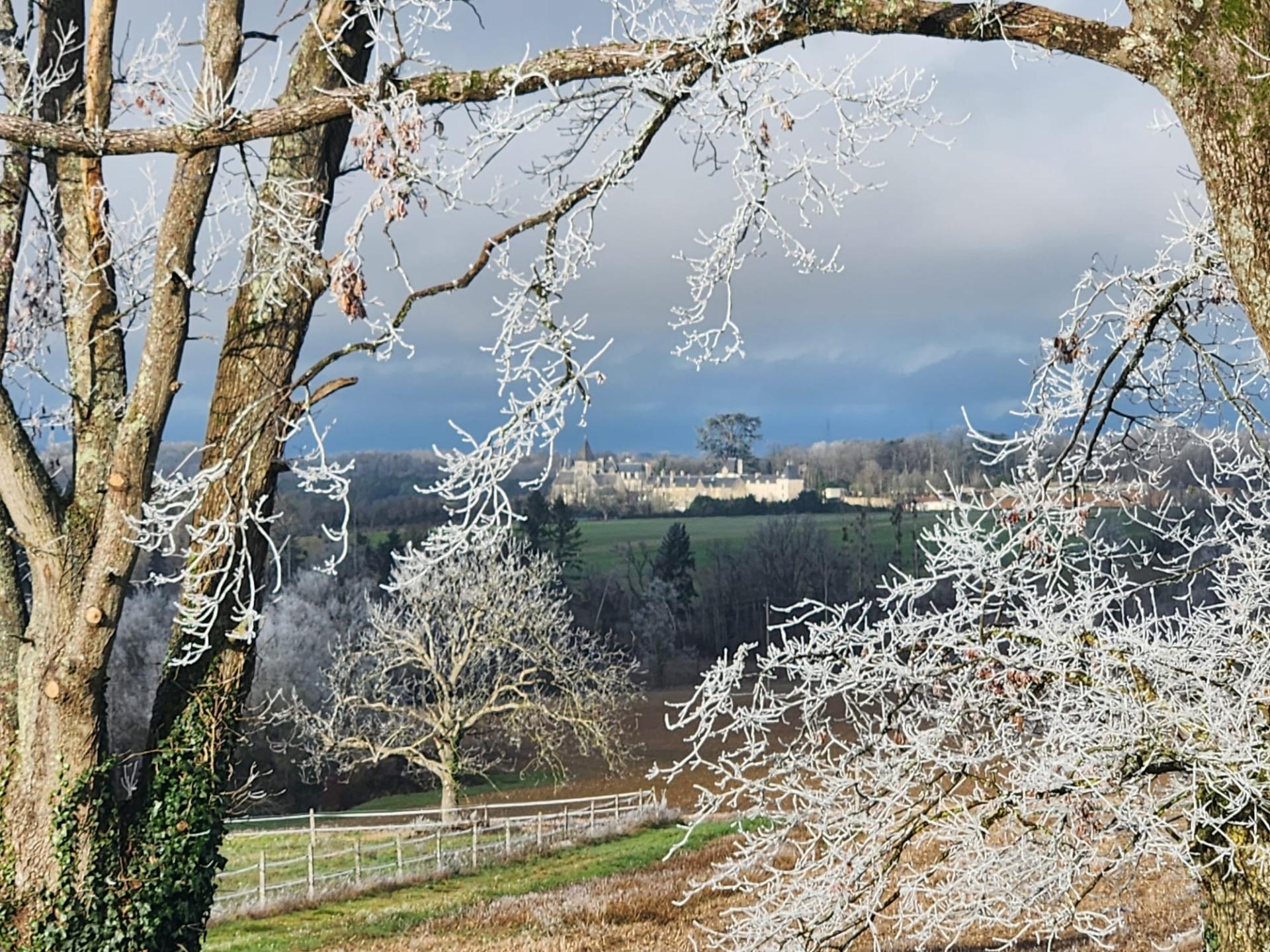 Whatsapp image 2026 01 04 at 13 30 43